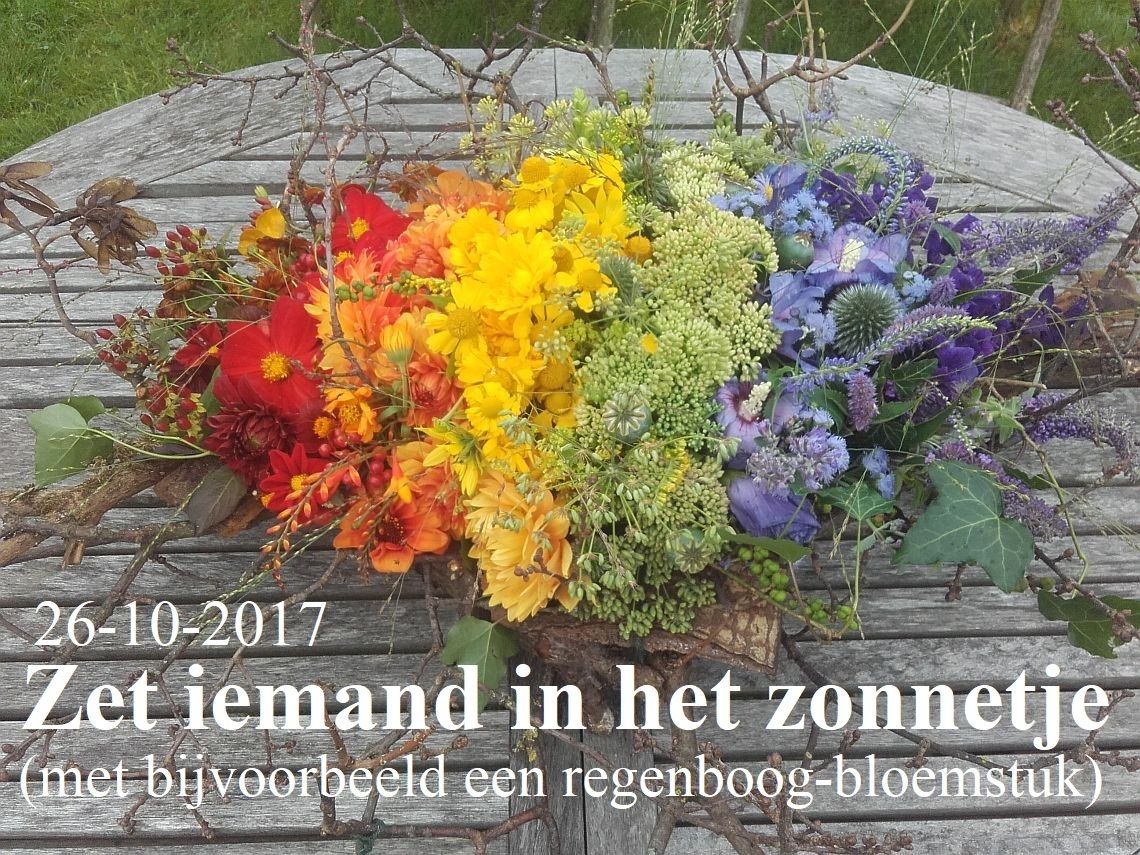 zet iemand in zonnetje